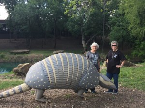 armadillo