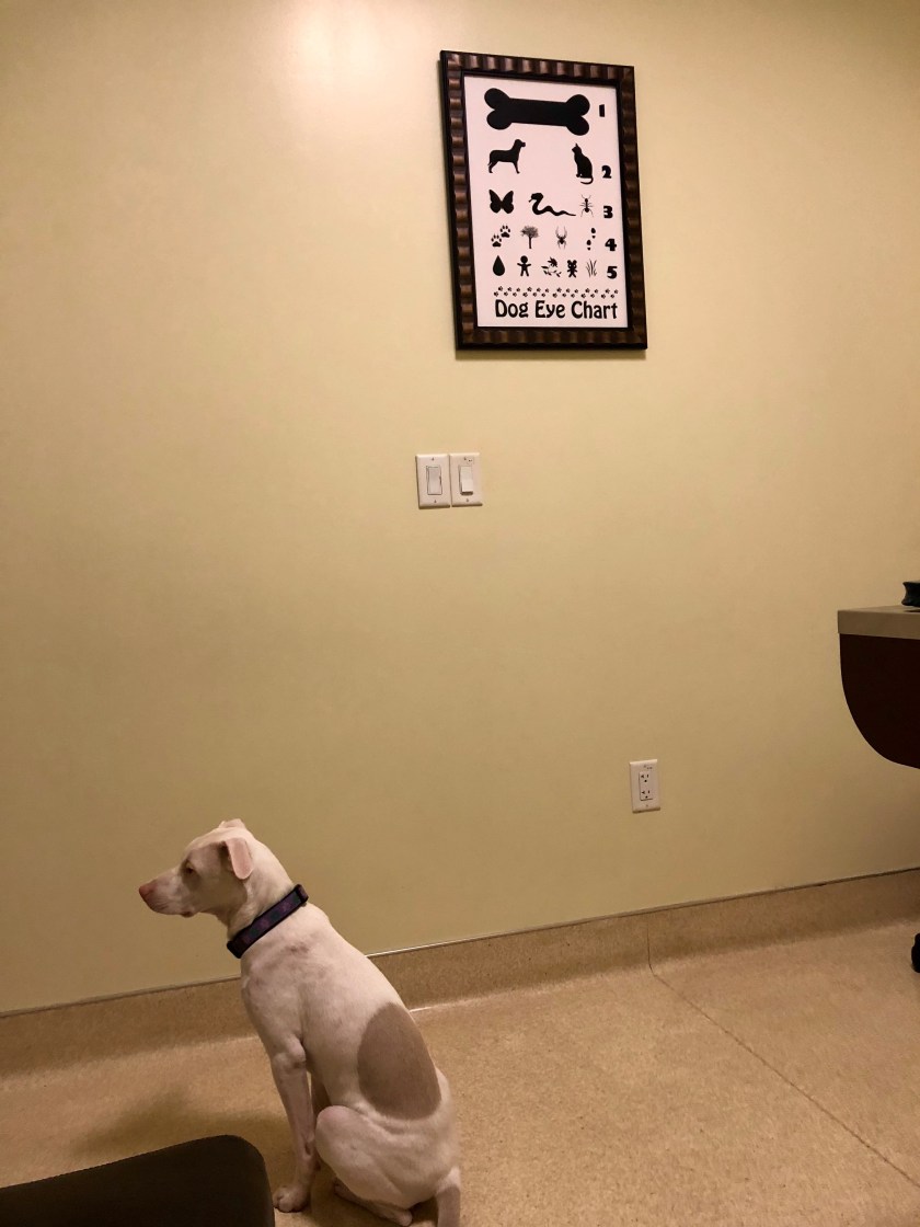 eye_chart