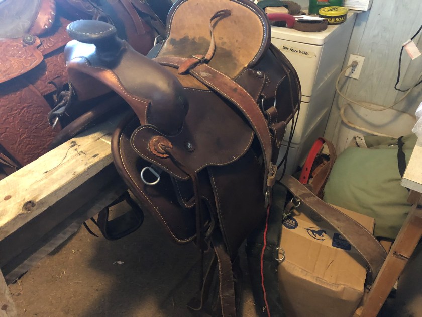 saddle2