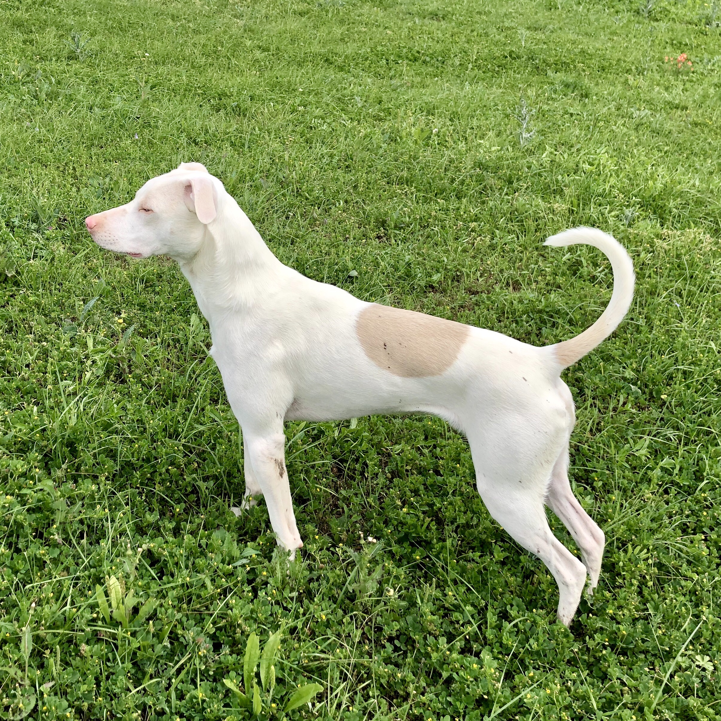 A year old and quite striking, isn’t he?