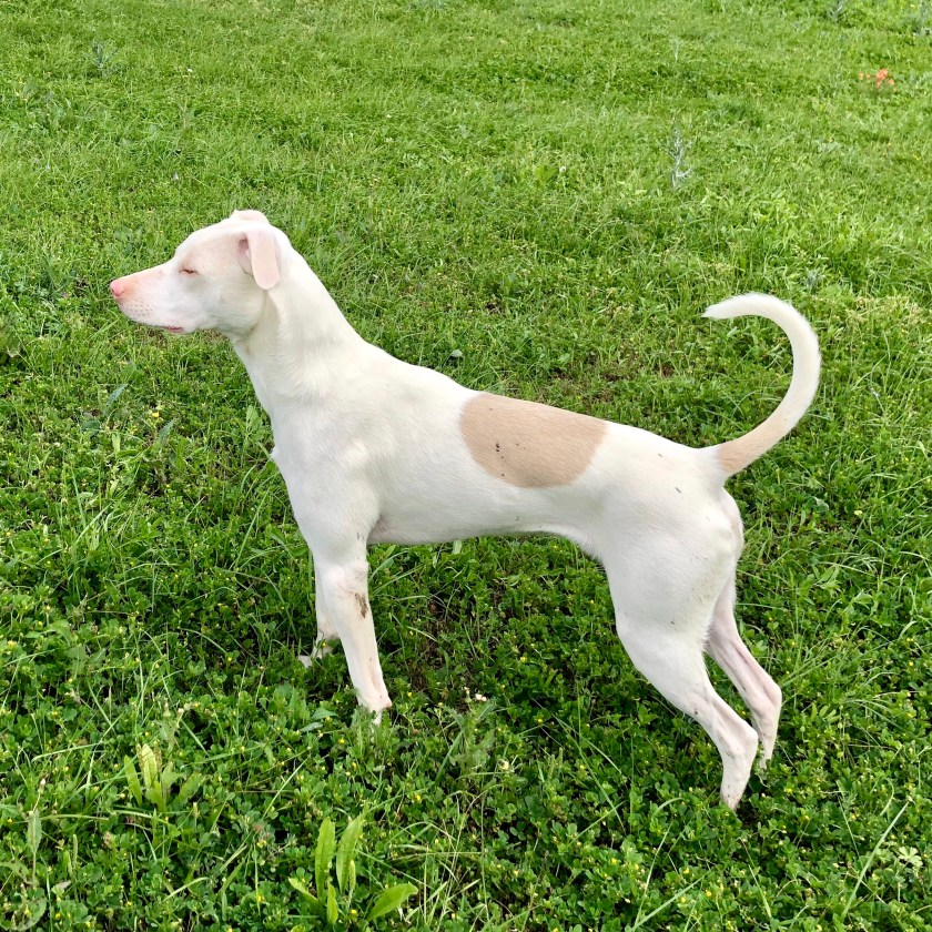 A year old and quite striking, isn’t he?