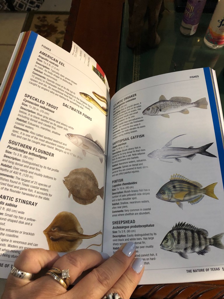 an open page of a book, with information about fish