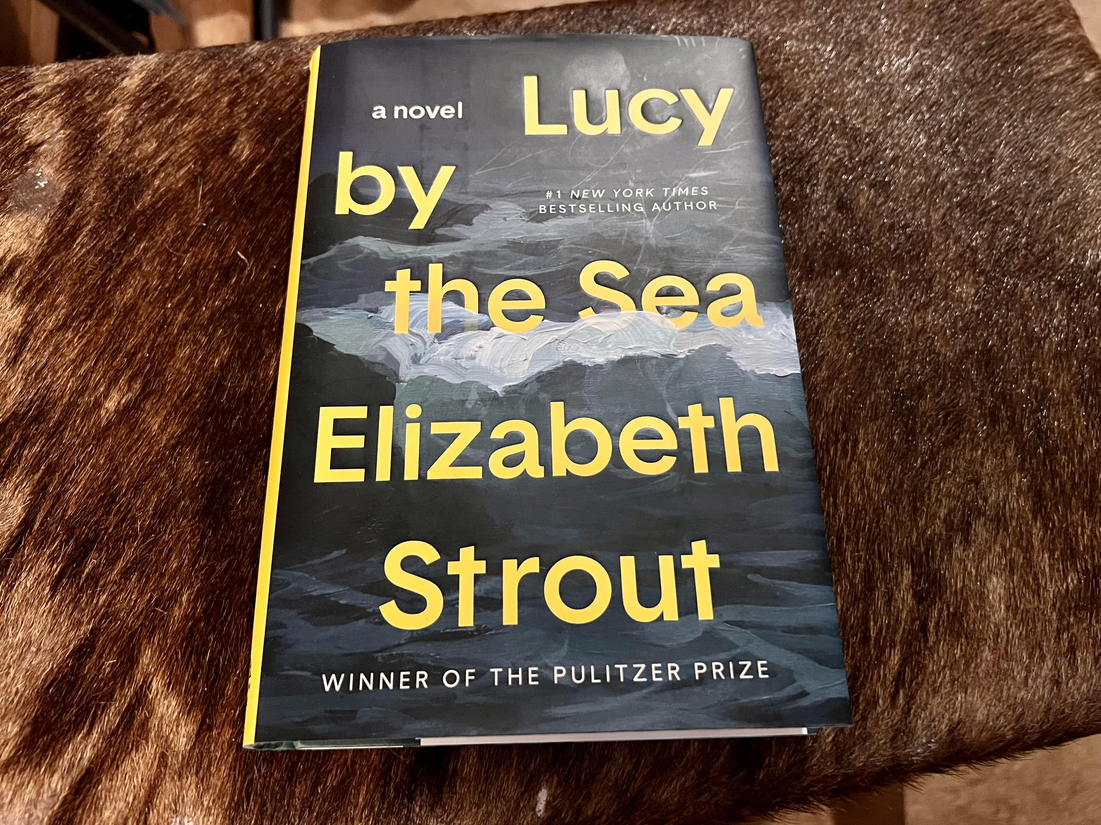 Book Report: Lucy by the Sea – The Hermits' Rest