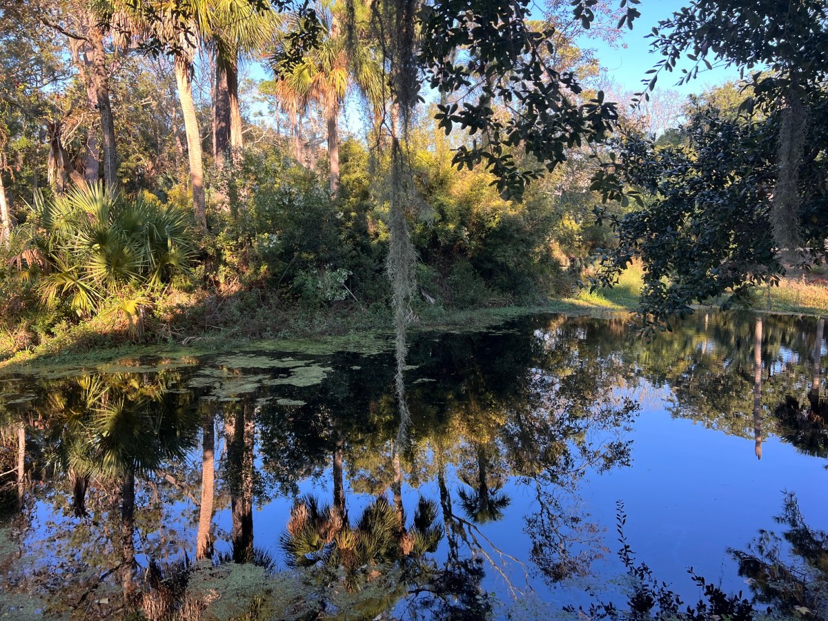 Announcing My Dislike of Food&nbsp;Prep