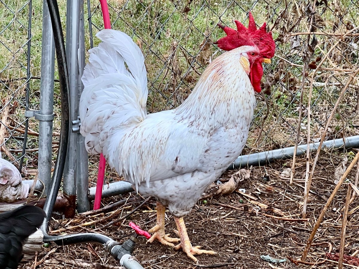 I’m Good at&nbsp;Things!