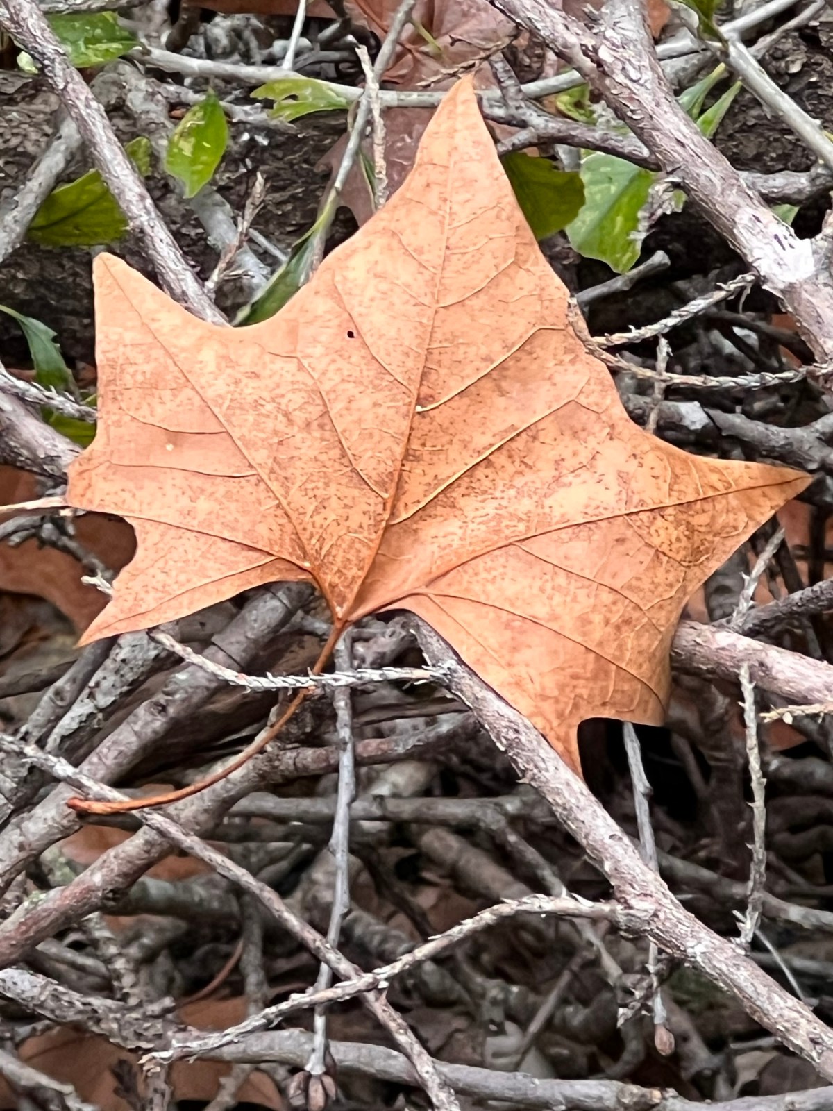 Hiking with Someone Can Be&nbsp;Fun