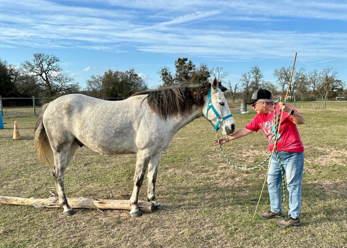 Droodles and I Have&nbsp;Skills