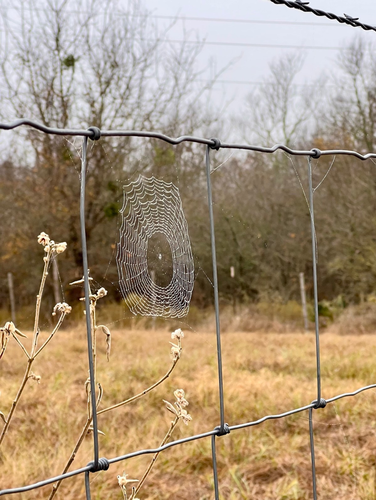 The Rural Internet&nbsp;Dilemma