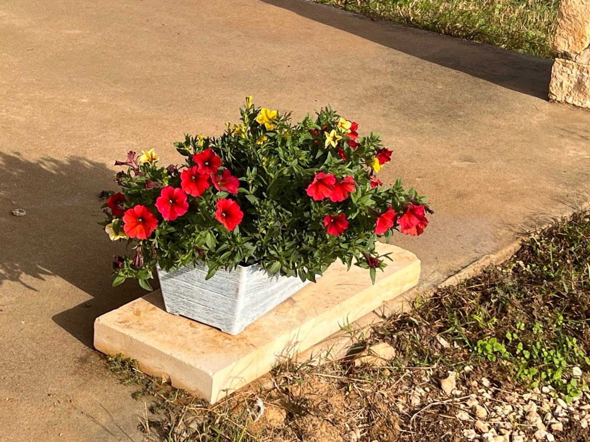 My Dad Was a Good&nbsp;Guy