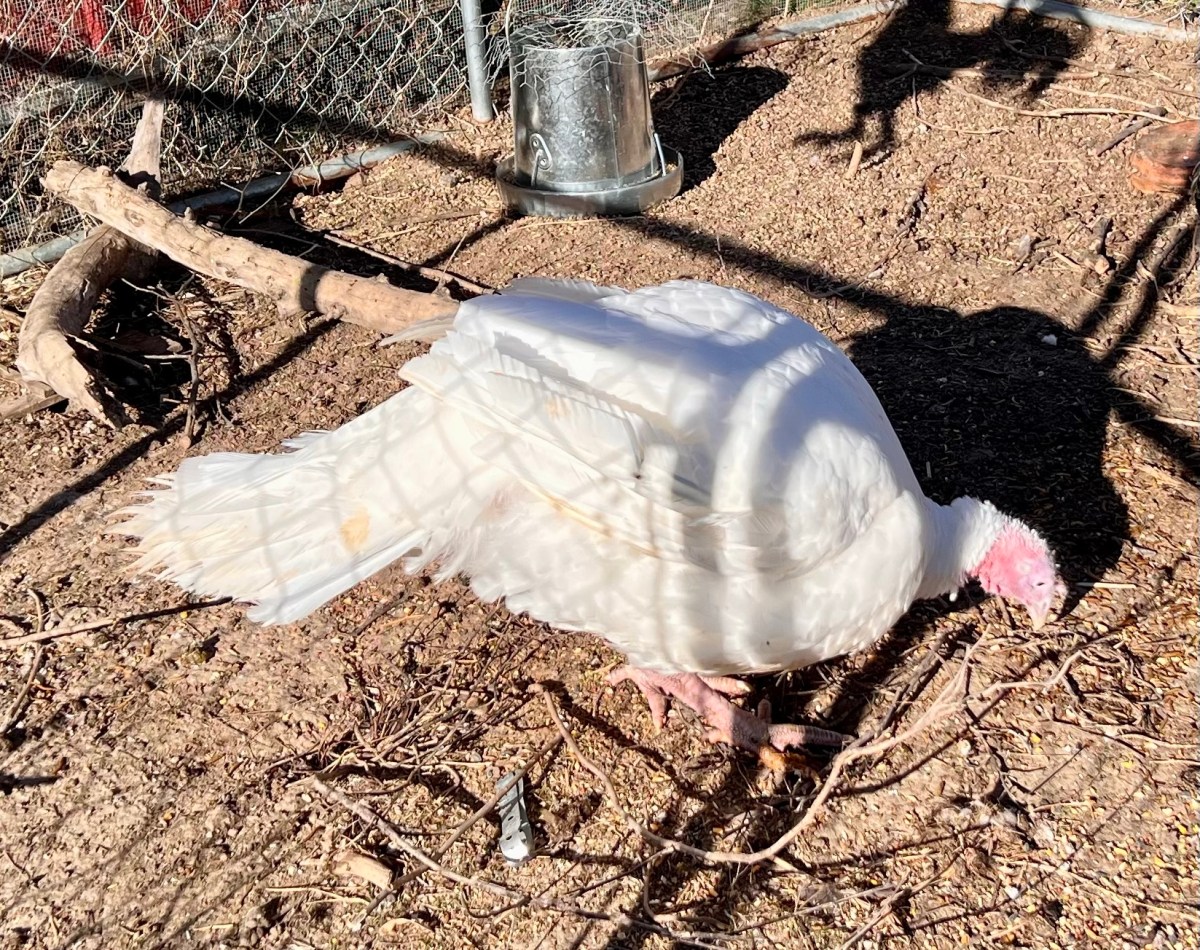 Just a Little&nbsp;Chilly