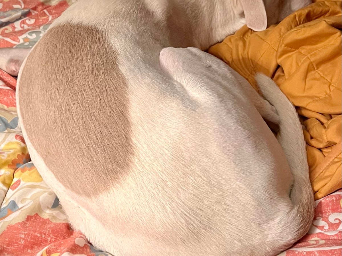 Luckily, It’s Raining