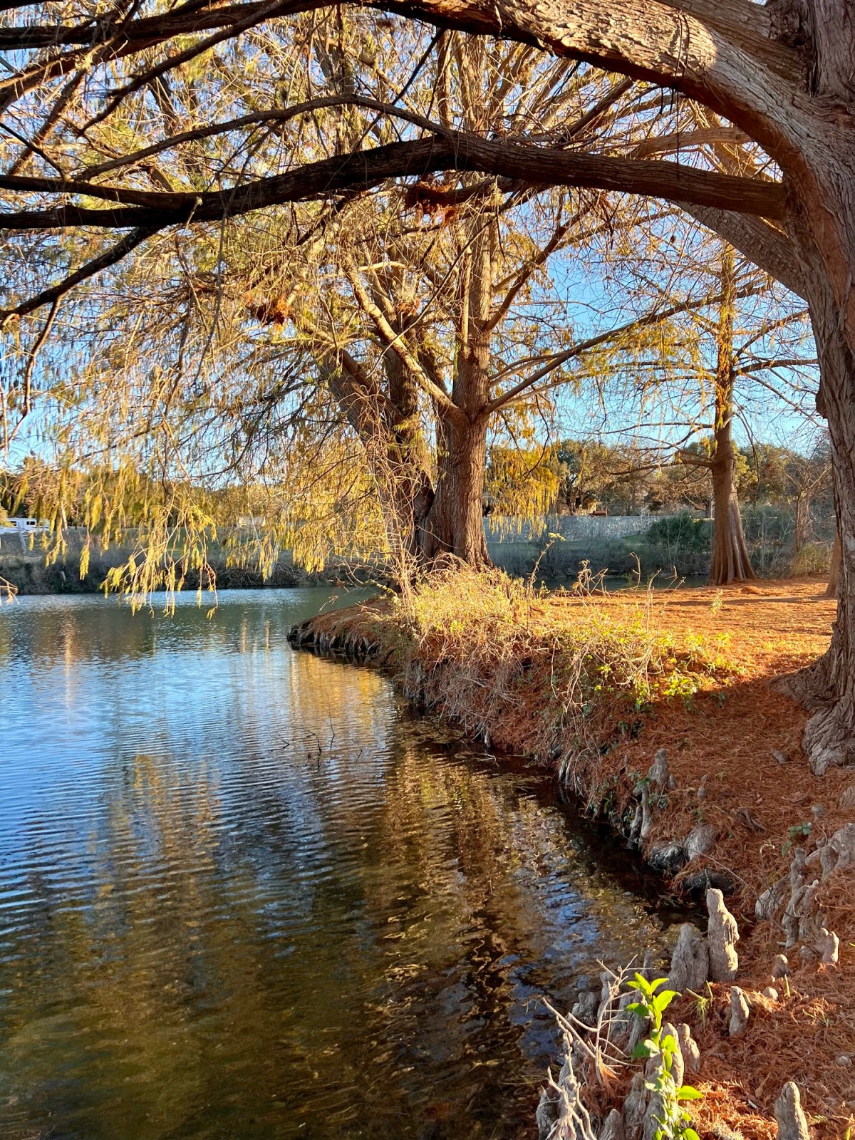 The Day Got Better, and&nbsp;Warmer