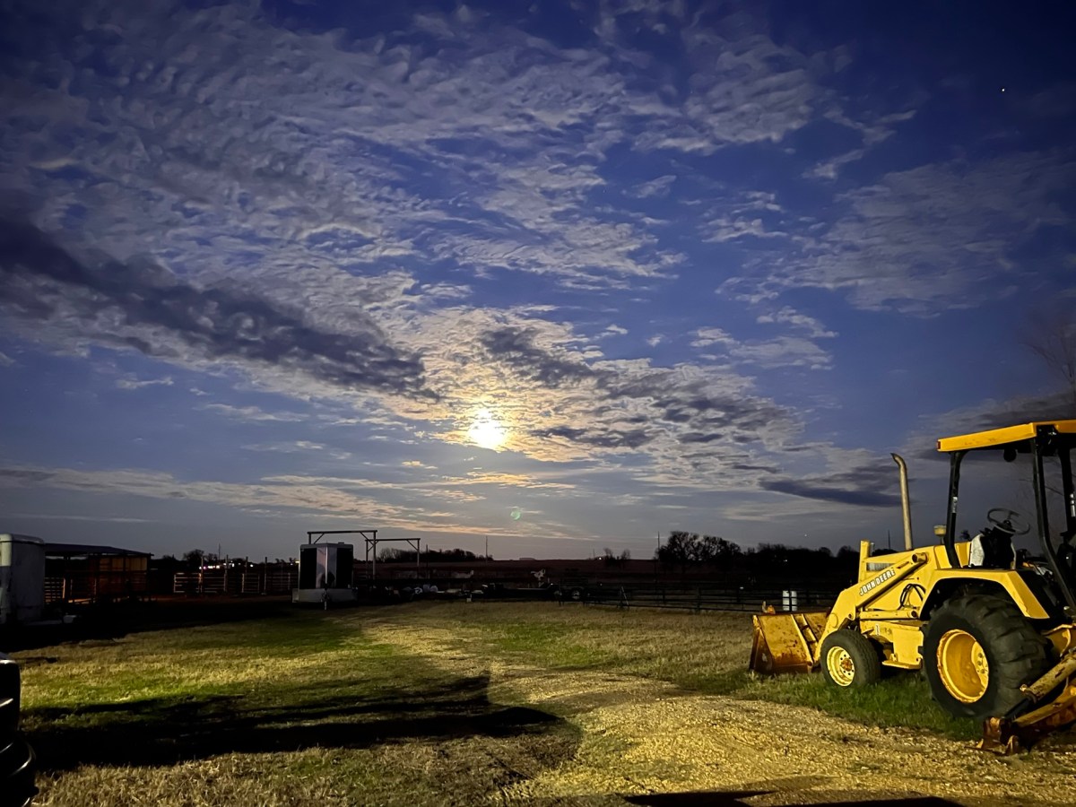 My Back Says&nbsp;Ow