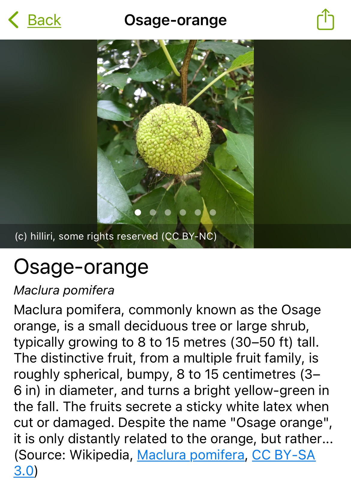 I’m Back, and I’m an Angry Semi-old&nbsp;Woman