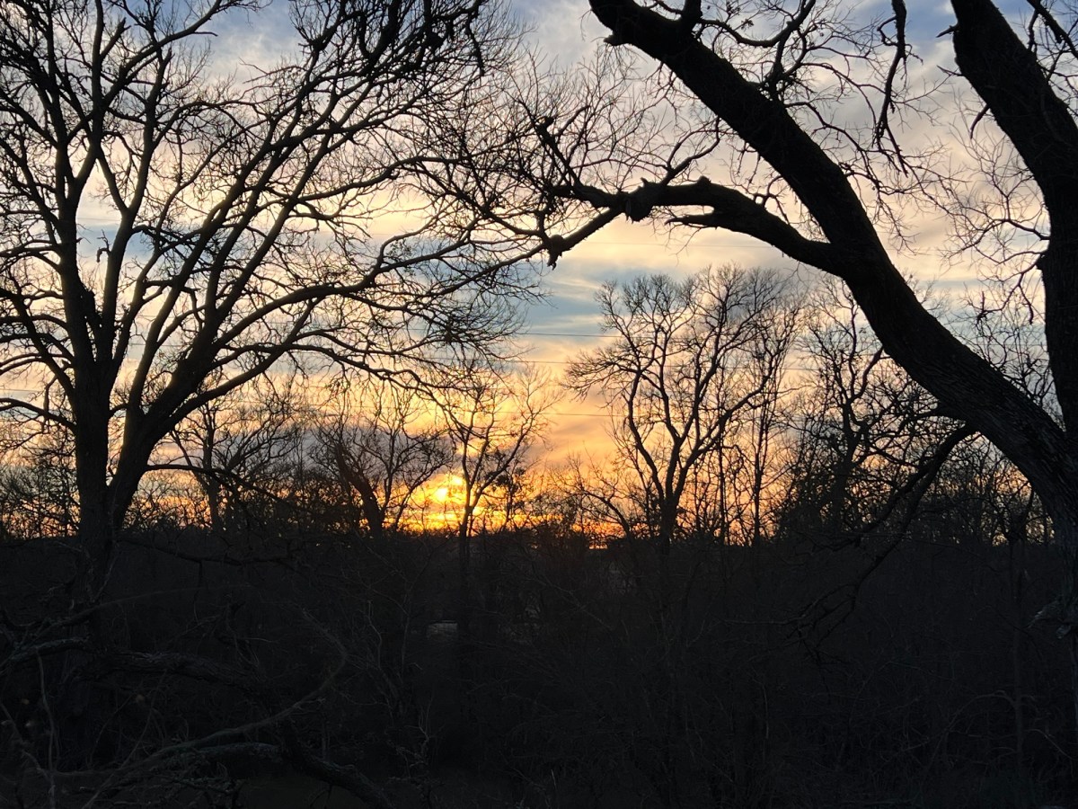 It’s Driving Me&nbsp;Bonkers