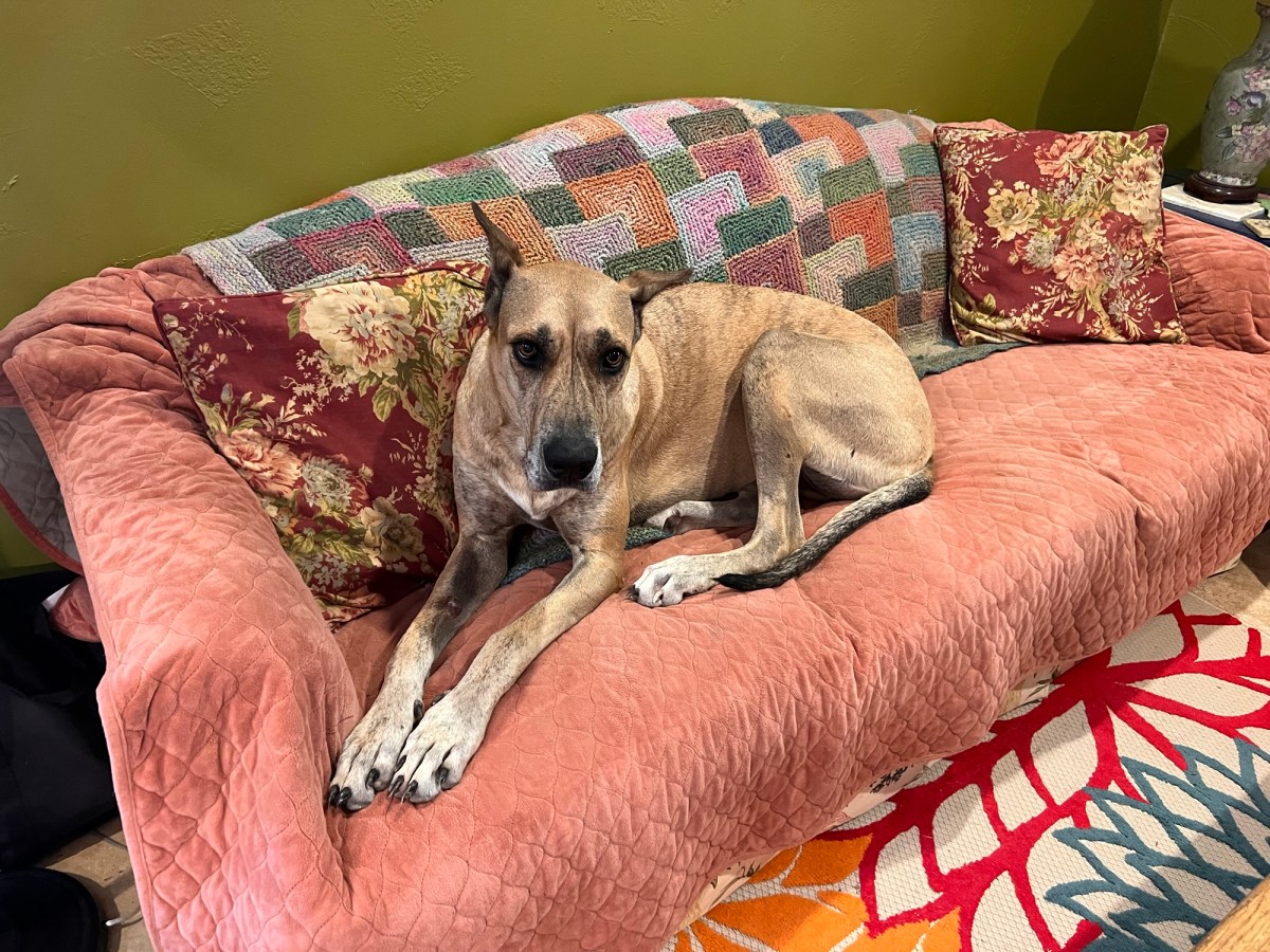 Farewell to Our Dear&nbsp;Friend