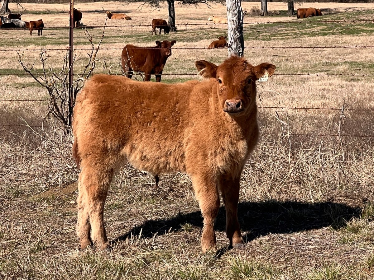 A Beautiful Day for a Long&nbsp;Nap