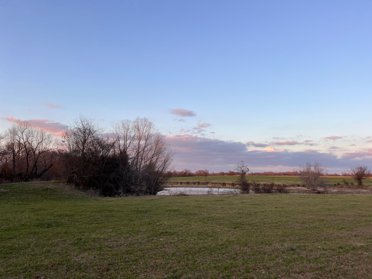 An Ideal Suna&nbsp;Day