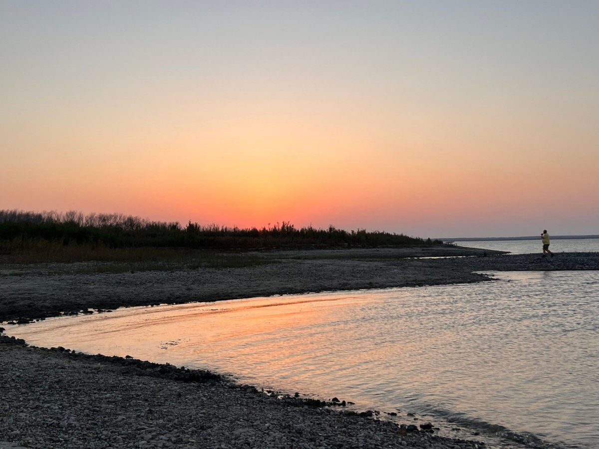 Birds and Beasts on a&nbsp;Friday