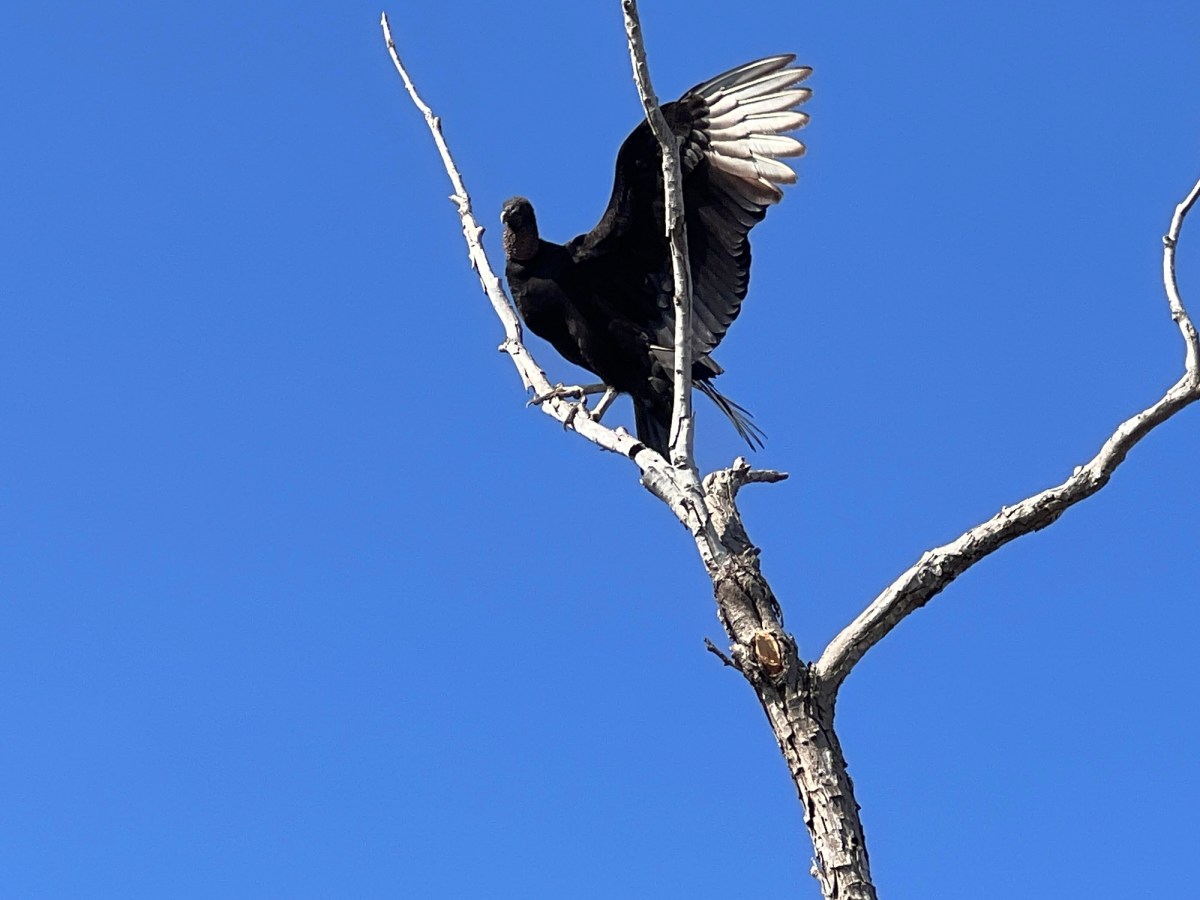 Pay Attention and You’ll Learn&nbsp;Stuff