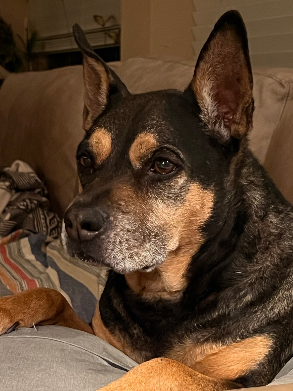 Counting Birds and Holding&nbsp;Steady