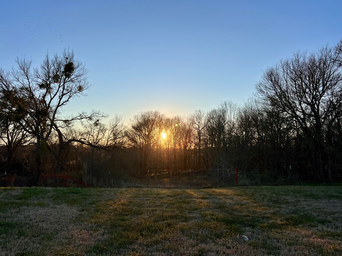 I Annoyed the&nbsp;Horses