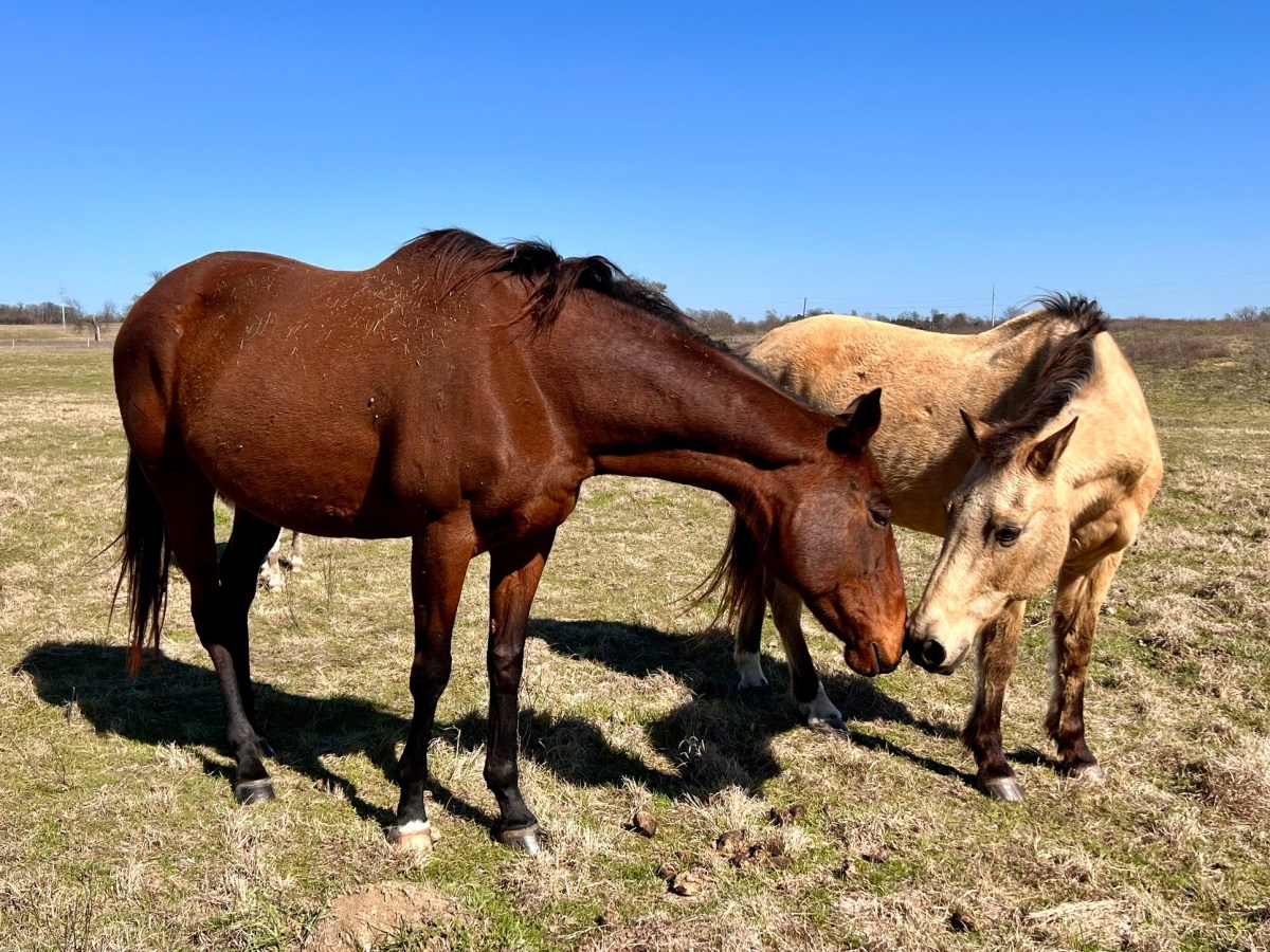 Doing Something about&nbsp;It