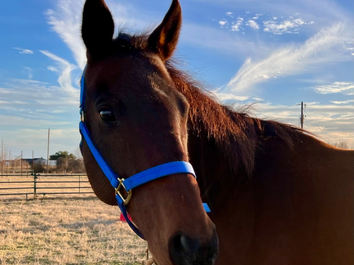 Let’s Pivot with Cautious&nbsp;Optimism