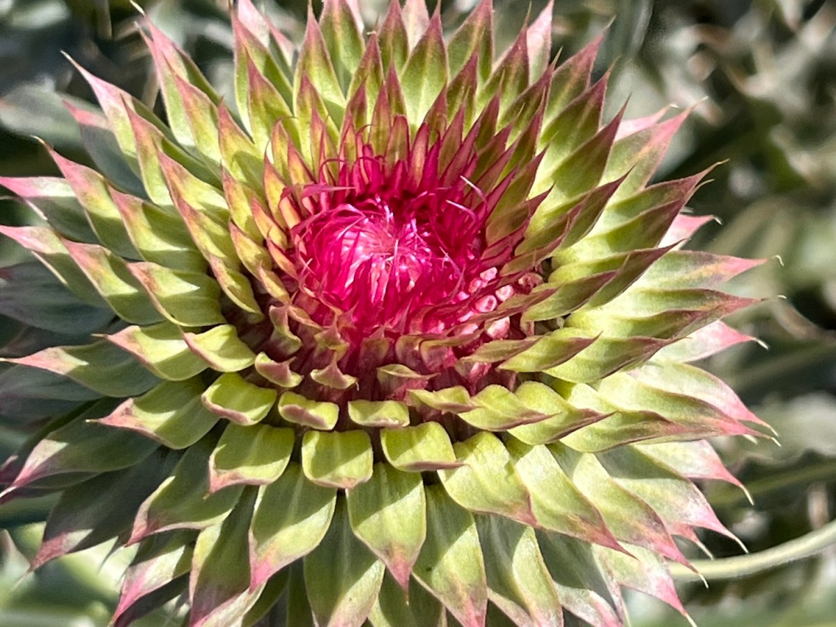 Exploring New Territory