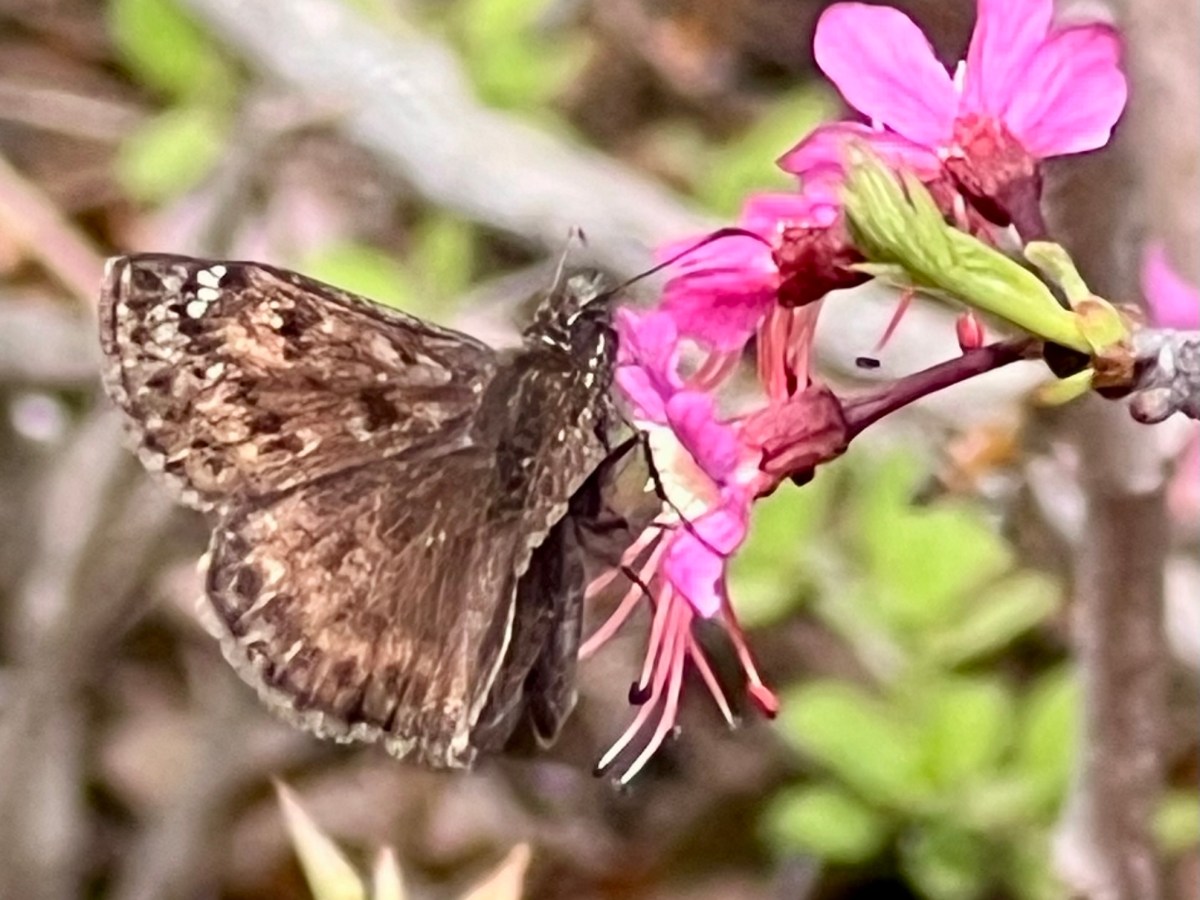 A Tale of Two Hiking&nbsp;Trails