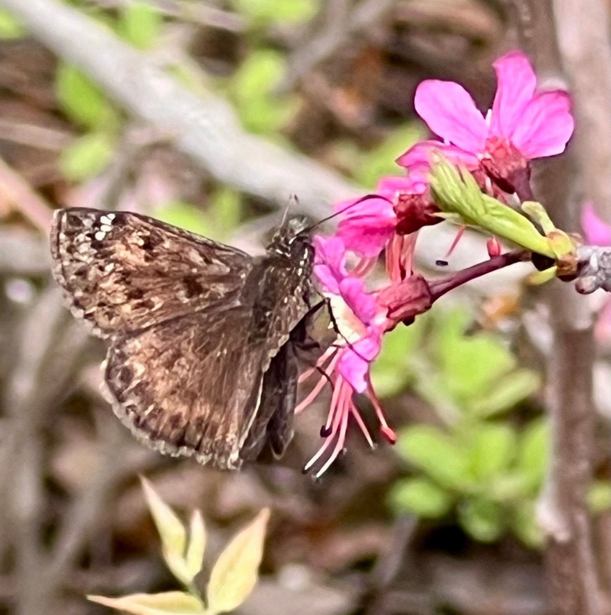 A Tale of Two Hiking&nbsp;Trails