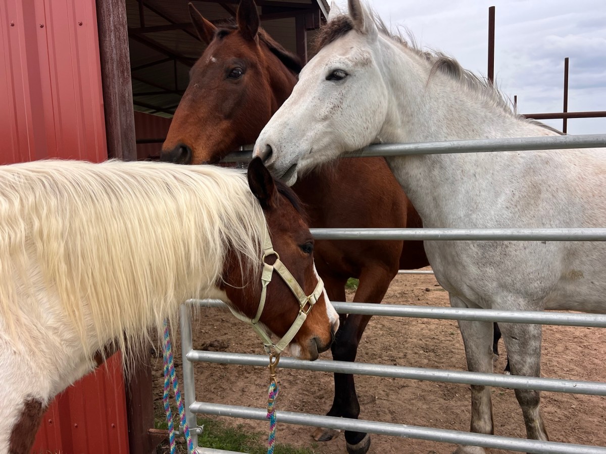 A Little Scare, a Lot of&nbsp;Care