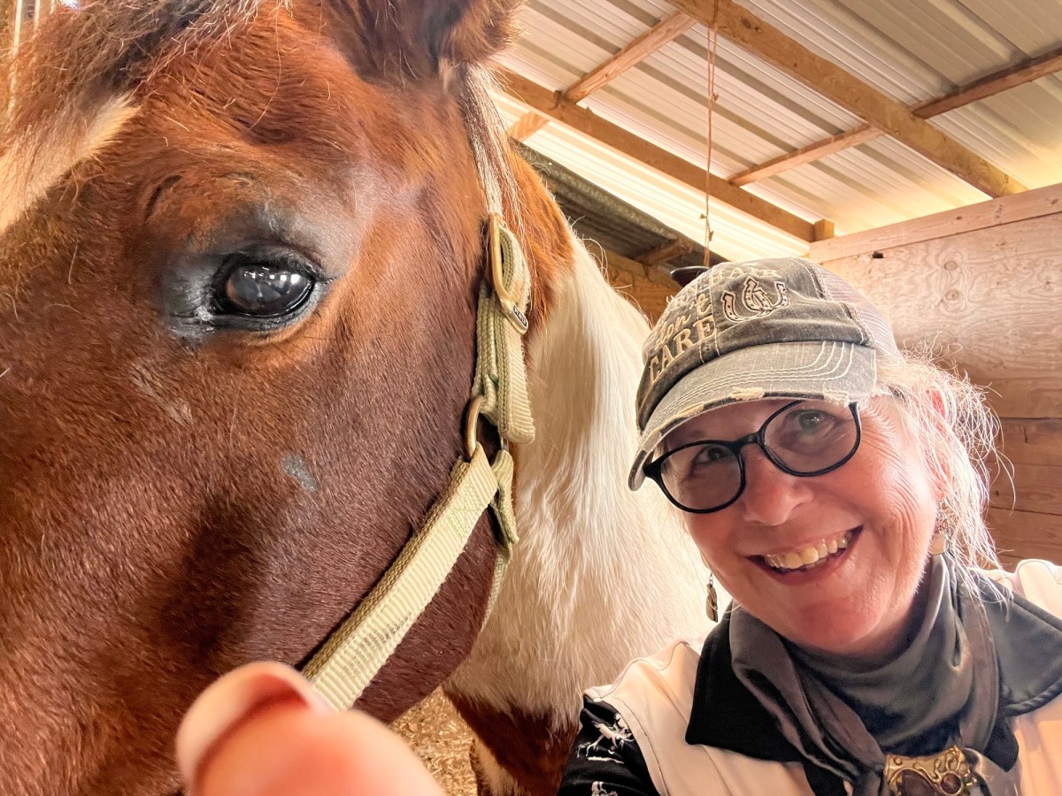 Adventures in Horse Wrangling and Solo&nbsp;Showing