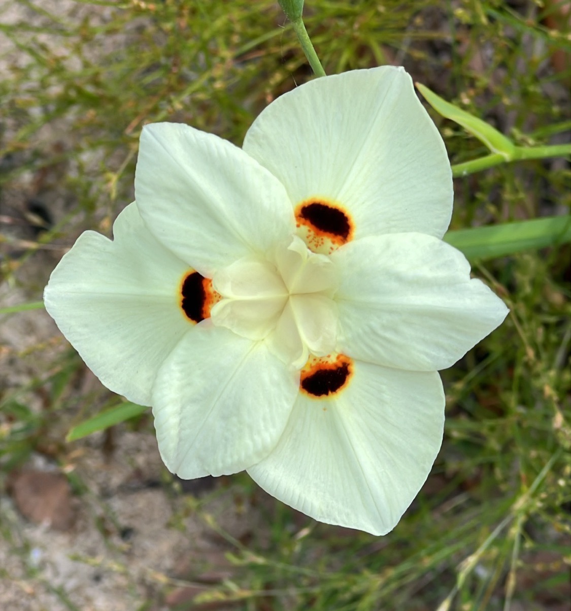 Being Judgy Isn’t&nbsp;Cool