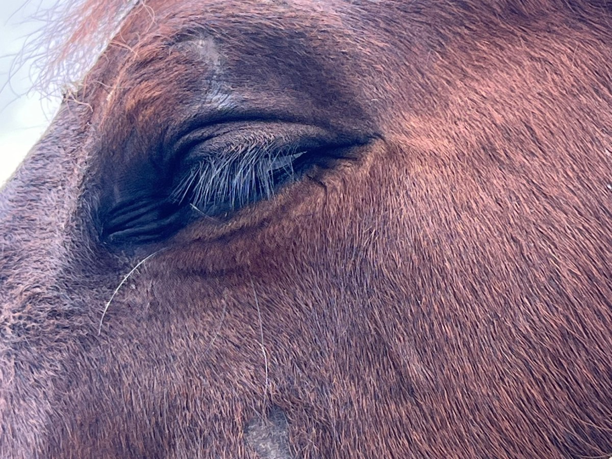 Gotta Do Some&nbsp;Pondering