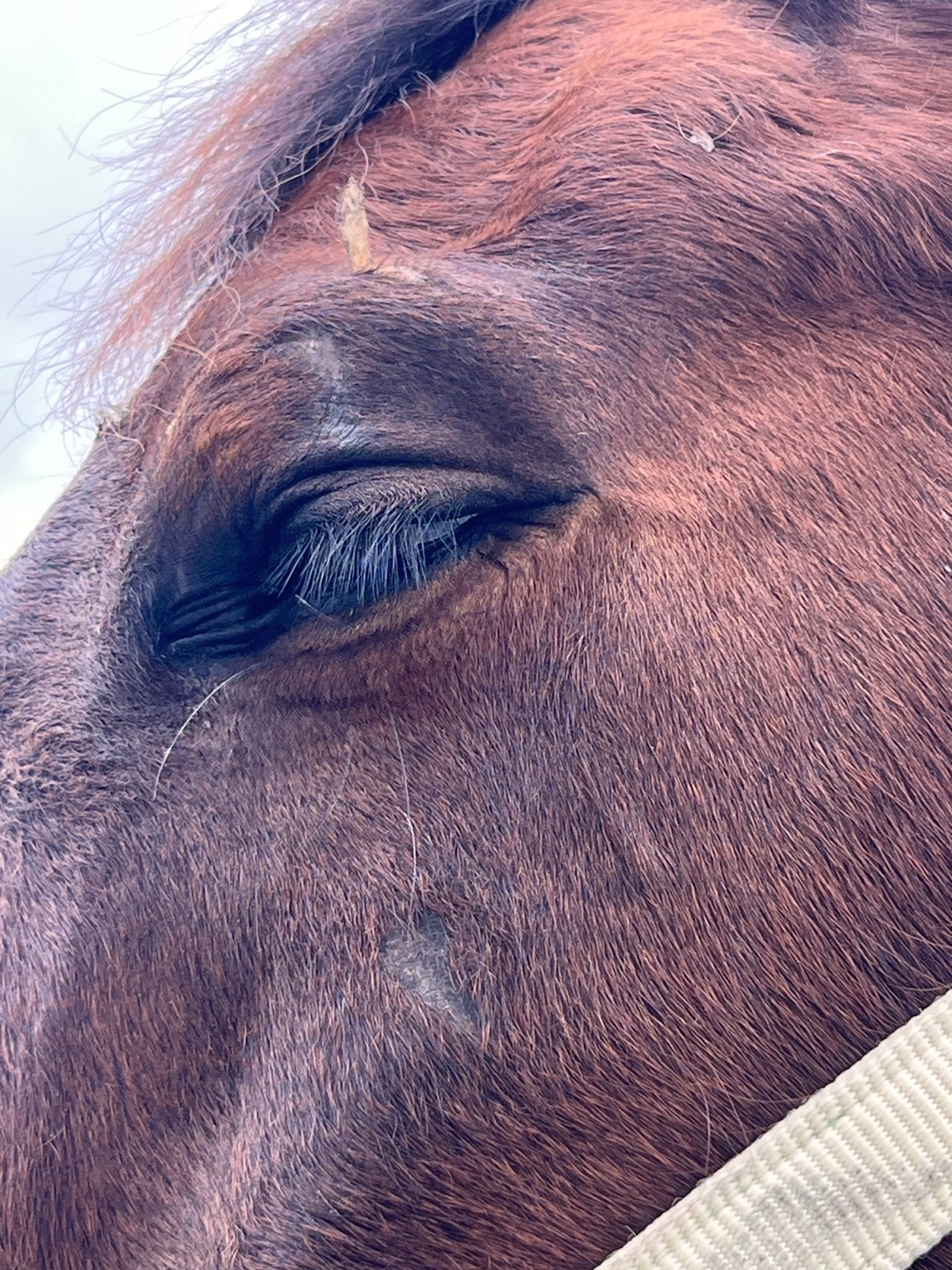 Gotta Do Some&nbsp;Pondering