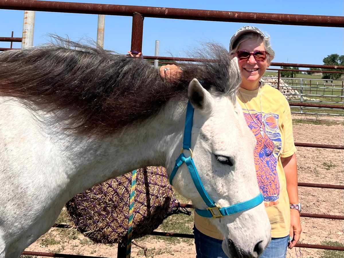 Fun with Animal&nbsp;Personalities