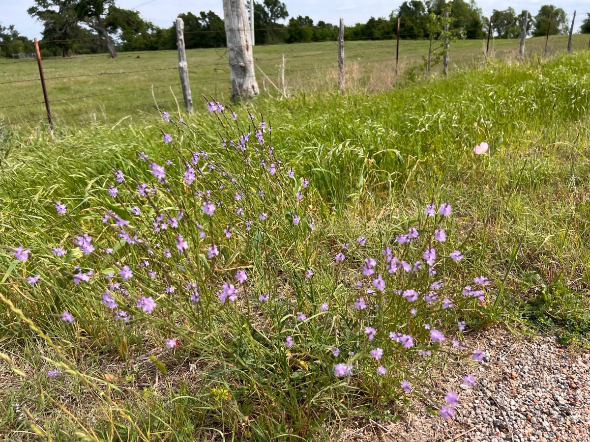 There’s Always Something to&nbsp;Do