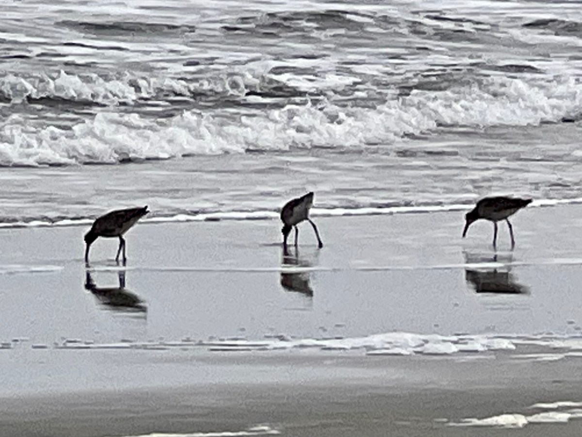 I Do Love Me a Good&nbsp;Woods