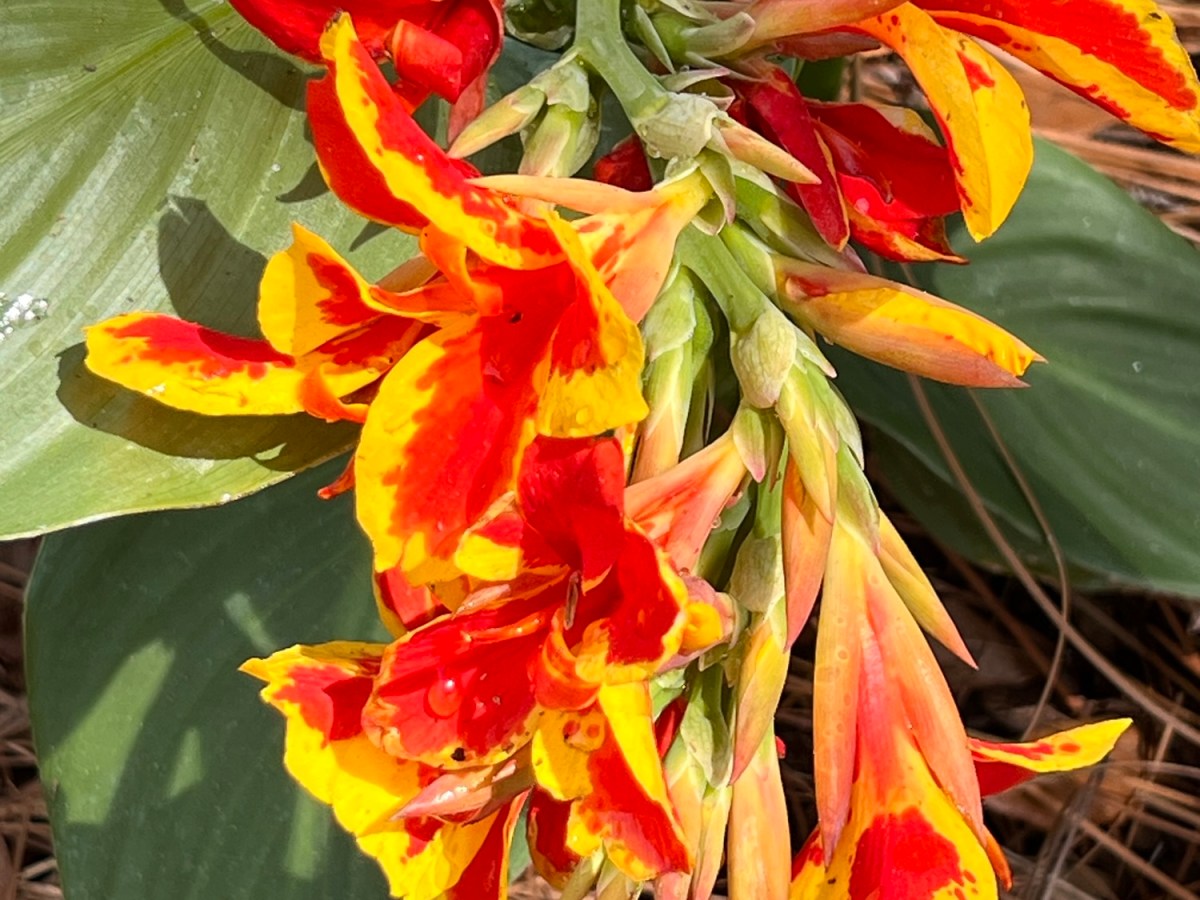 Hey Suna, Why Do You Travel&nbsp;Alone?