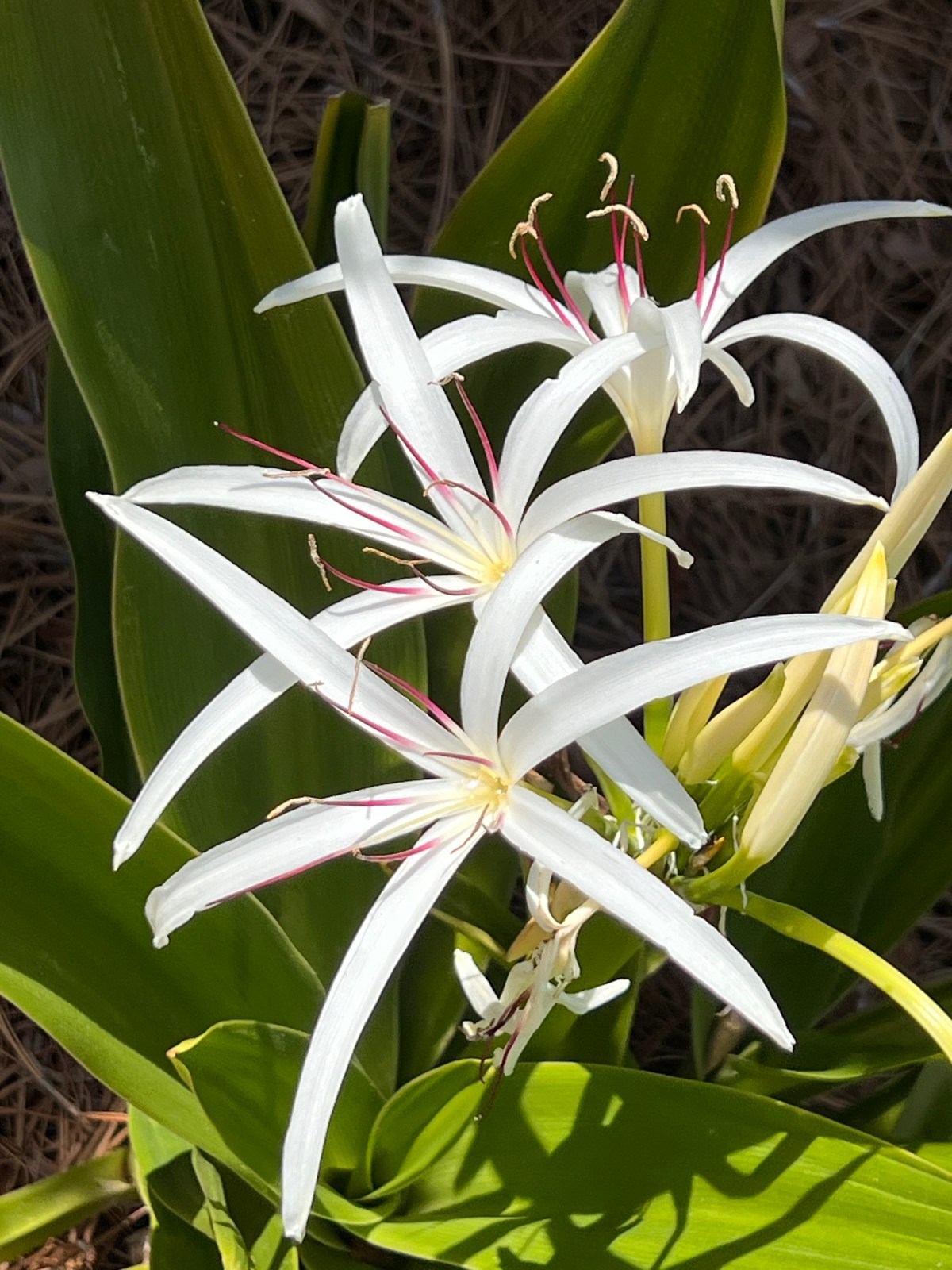 Falling Down on the&nbsp;Job?