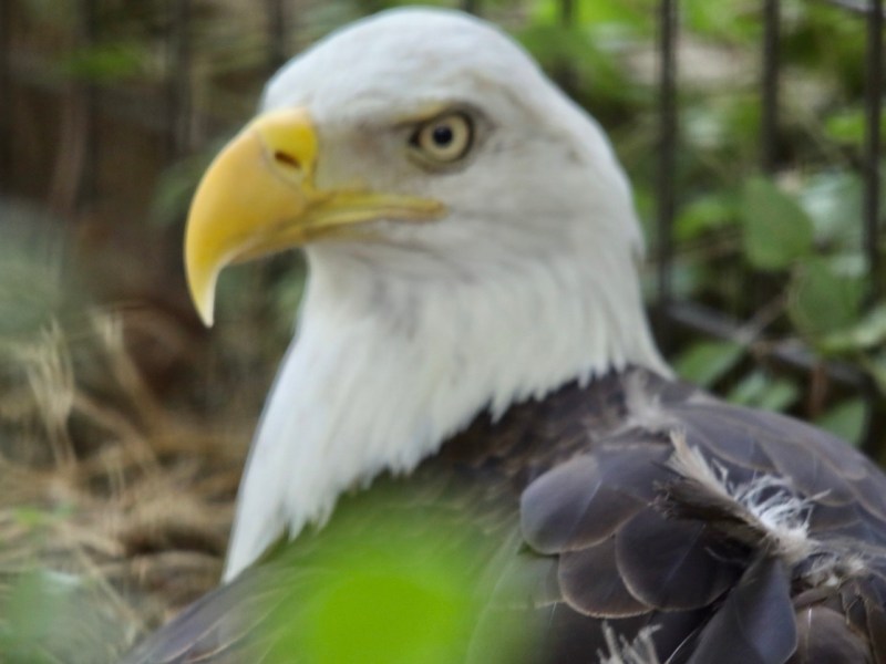 Victorious in Victoria,&nbsp;Texas