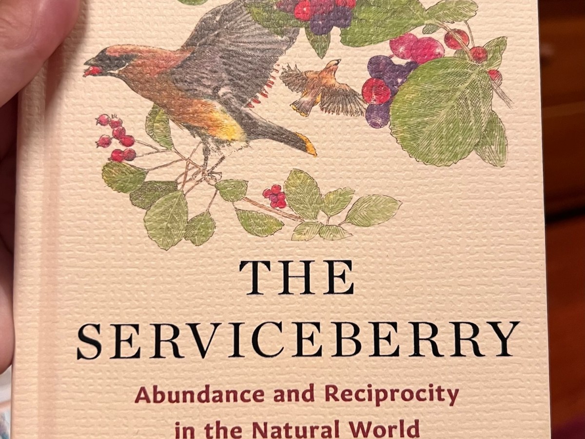 Book Report: The&nbsp;Serviceberry