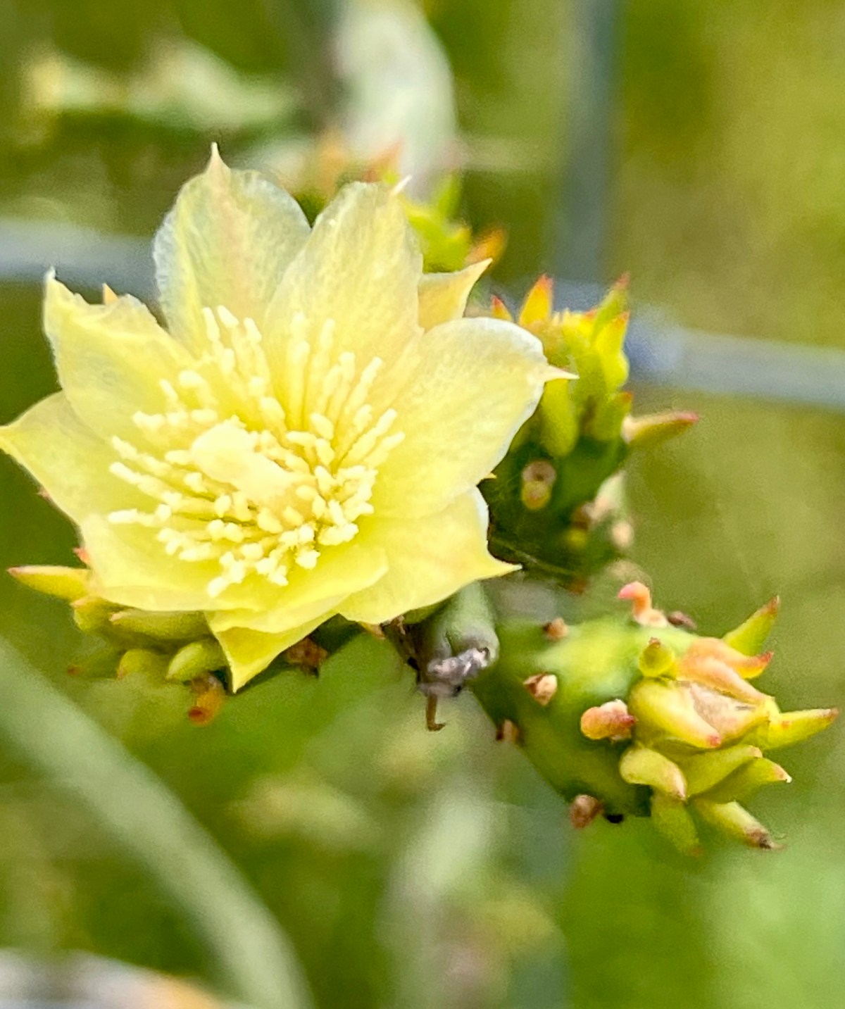 Farewell to the&nbsp;Migrants