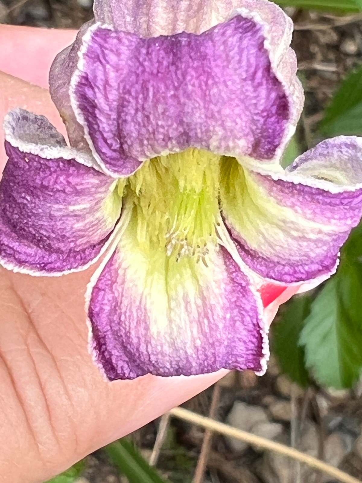 A Visit to the Local Ghost&nbsp;Town