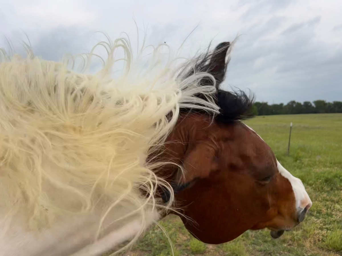 Trip Down Recent Memory&nbsp;Lane