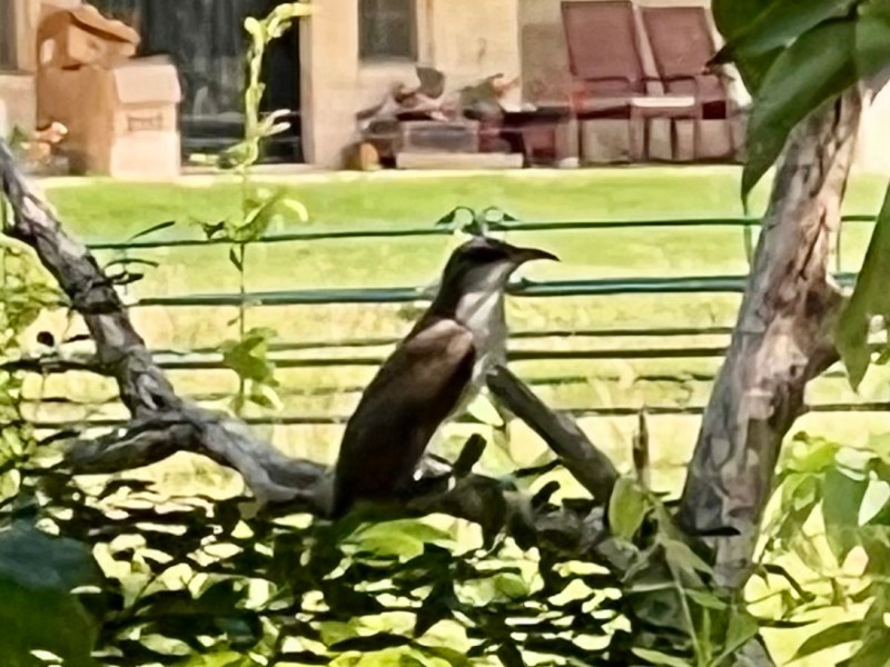 Will I Have a&nbsp;Legacy