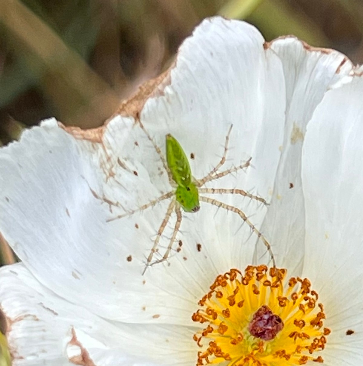 Mission Accomplished