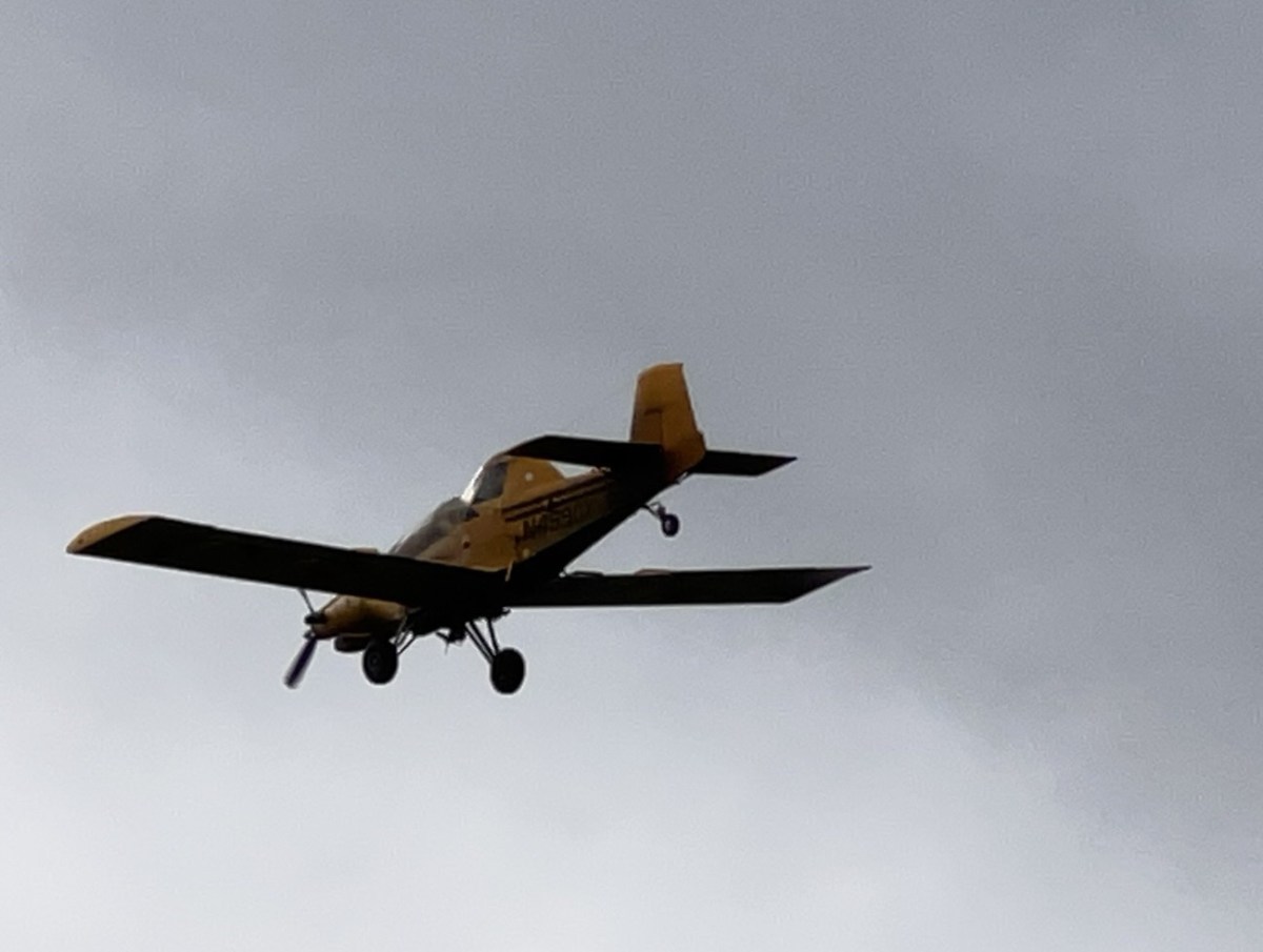 Inching towards Sustainability