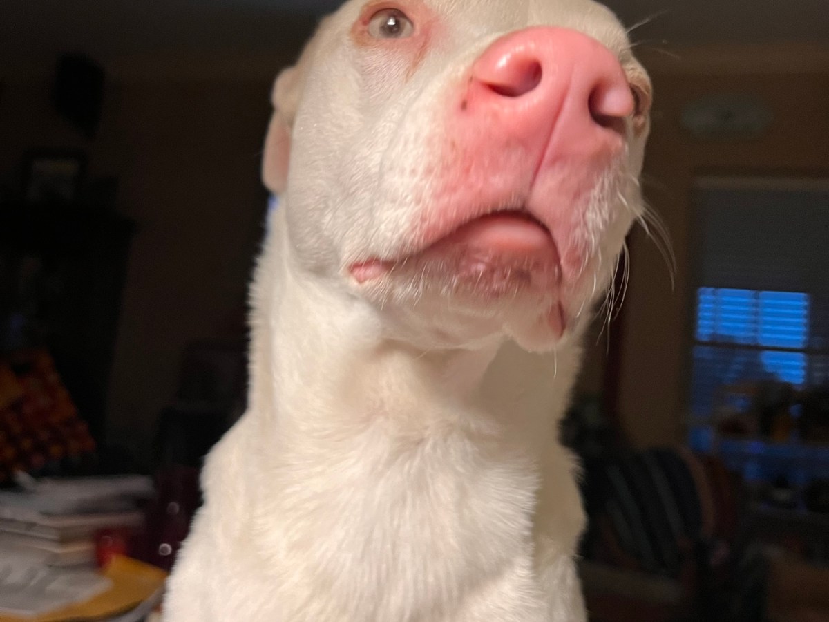 Fears, I’ve Had a&nbsp;Few